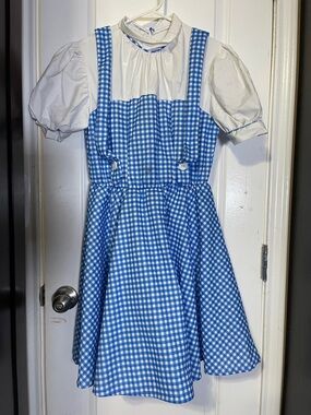 Blue Gingham Pinafore Dress with White Puff Sleeve Blouse